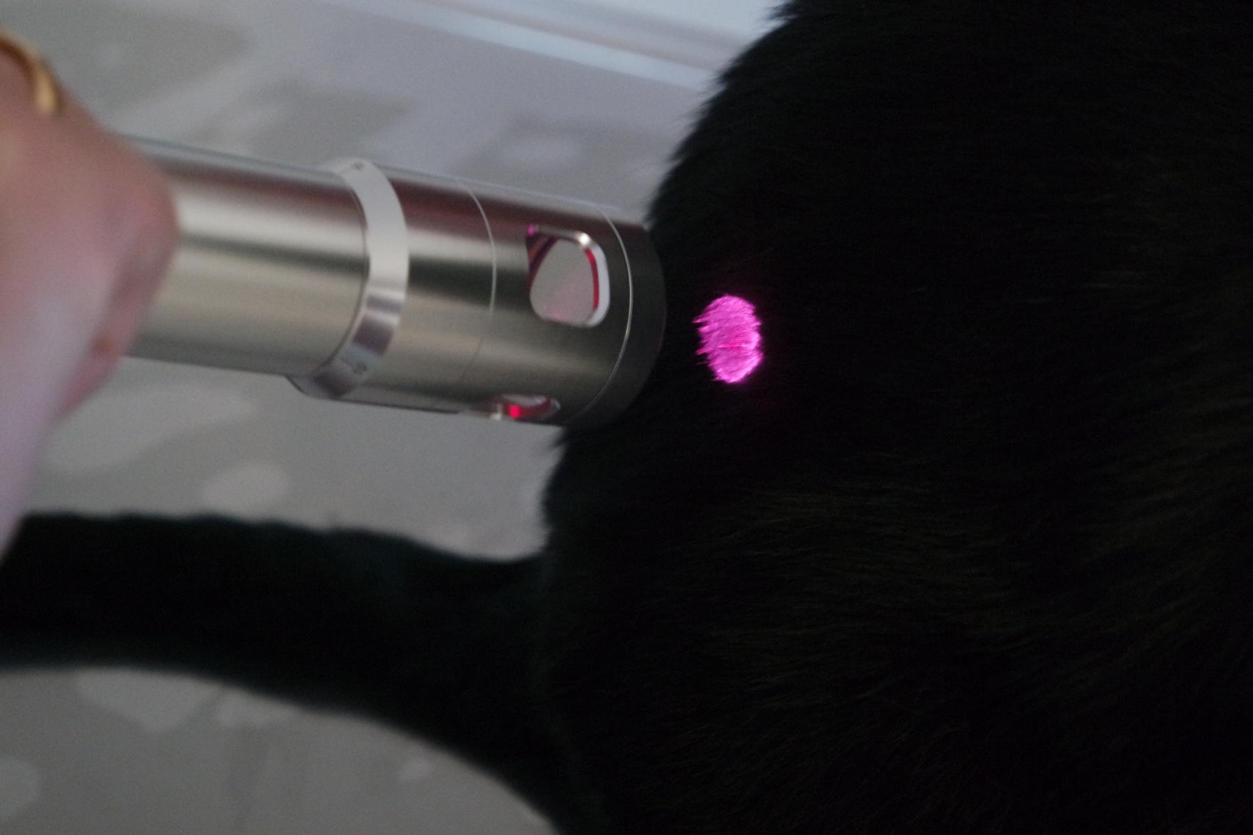 Laserbehandlung Katze